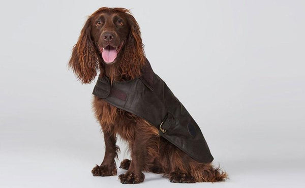 Barbour battersea dog coat hotsell