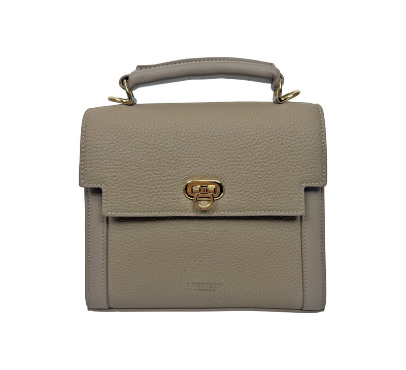 Small Alice Bag Handbags Taupe 