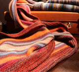 Multi Stripe Knitted Scarf - Pickett London